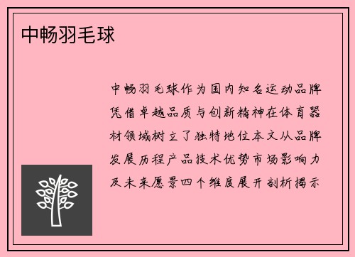 中畅羽毛球