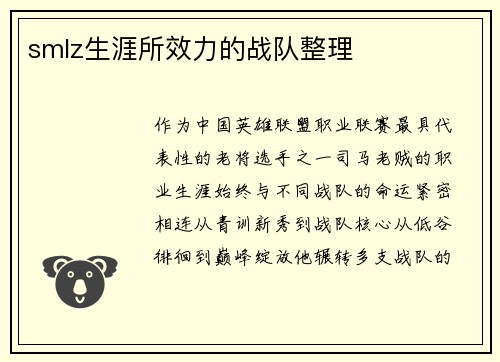 smlz生涯所效力的战队整理